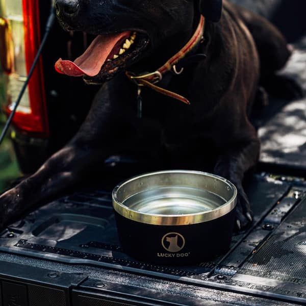 【今日だけ価格】CRAZY RACCOON / DOG BOWL BLACK Stainless Steel Metal Insulated Dog Bowl 64oz - Sleek Black
