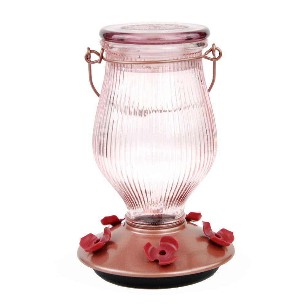PerkyPet Rose Gold TopFill Decorative Glass Hummingbird Feeder 24