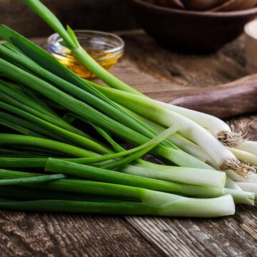 Back to the Roots Organic Evergreen Bunching Onion Seed (1-Pack) 46047