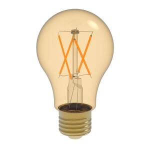 60W Equivalent Warm White (2400K) A19 Dimmable Amber LED Light Bulb