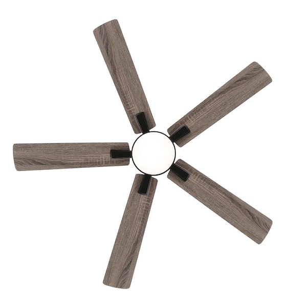 Walter 52 in. Indoor Black Ceiling Fan with Adjustable White LED Light, 5-Reversible Blades and Remote Control Included