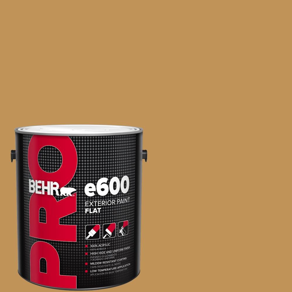 1 gal. #T12-5 Lone Star Flat Exterior Paint price history on PriceWatchPro