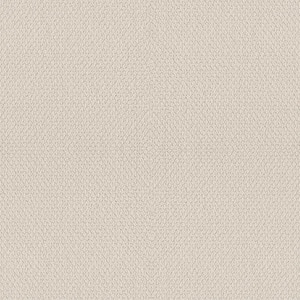 Hickory Lane - Moon Glow - Beige 32.7 oz. SD Polyester Loop Installed Carpet
