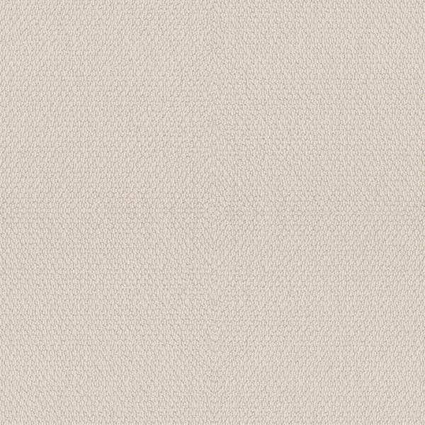 Home Decorators Collection Hickory Lane - Moon Glow - Beige 32.7 oz. SD Polyester Loop Installed Carpet