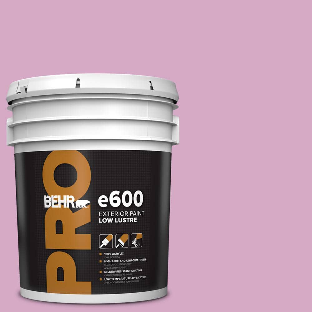 5 gal. #M120-4 Heart To Heart Low Luster Exterior Paint price history on PriceWatchPro