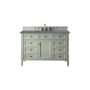 Brittany 48.0 in. W x 23.5 in. D x 34 in. H Bathroom Vanity in Sage Green with Cala Blue Quartz Top