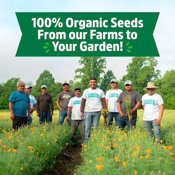 Organic Herbs and Veggies Seeds Variety (30-Pack)