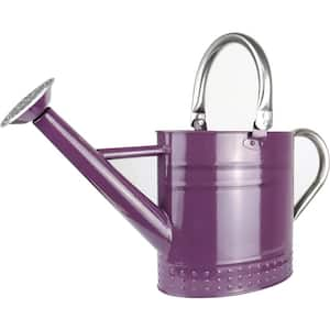 1 Gal. Metal Watering Can with Removable Spout, Nice Galvanized Steel Water Can with Embossed Design