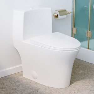 Bastille 1-Piece 0.8/1.28 GPF Dual Flush Elongated Toilet in Glossy White Seat Included