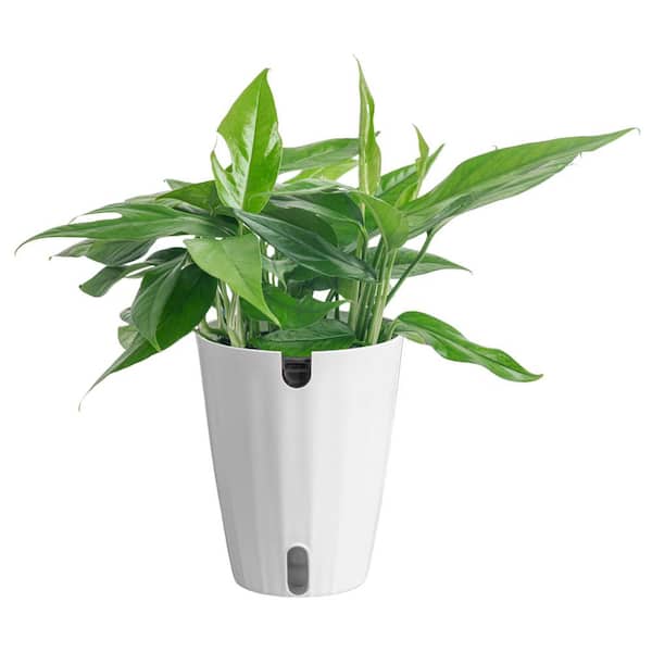 decorative outdoor plant pots Rimless Parco Planter