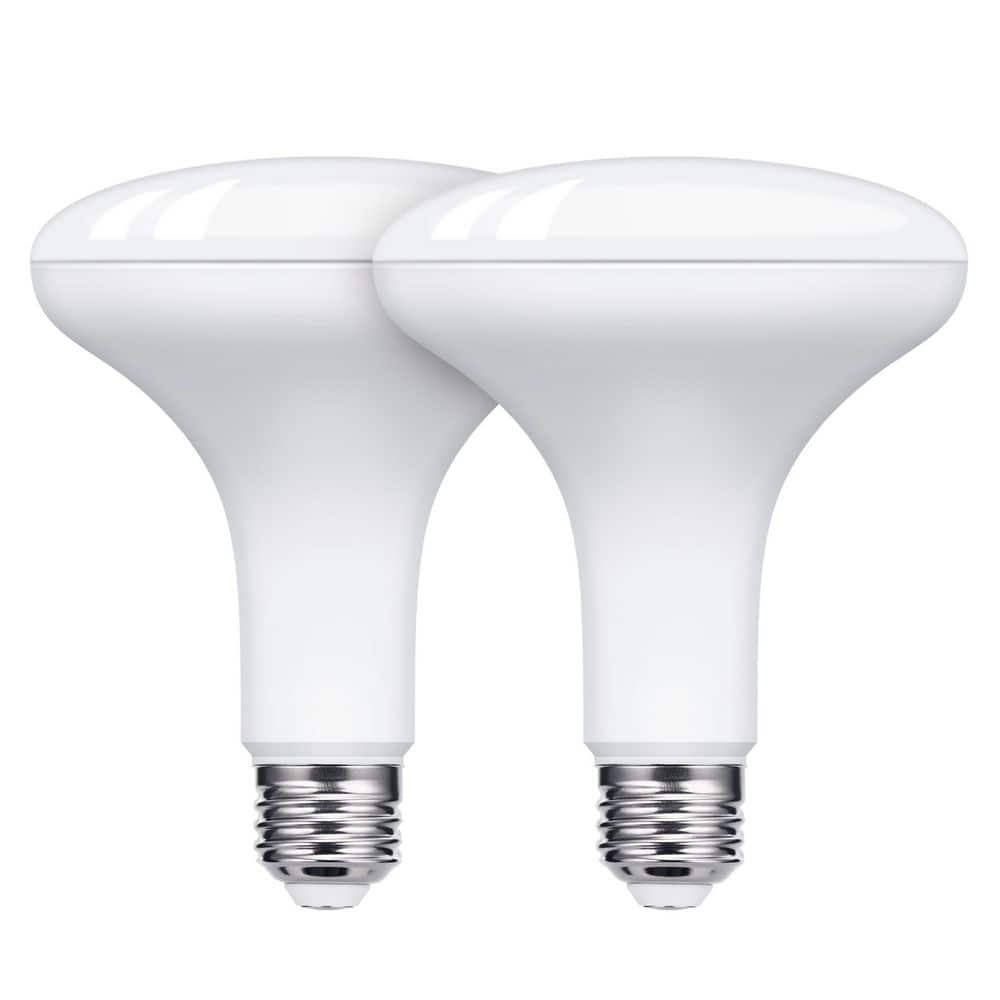 65-Watt Equivalent Red and Green BR30 LED Non-Dimmable White Frosted BR30 LED Light Buls for Holiday Decoration (2-Pack) price history on PriceWatchPro