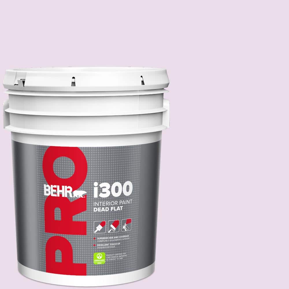 5 gal. #P100-1 Sprinkle Dead Flat Interior Paint price history on PriceWatchPro