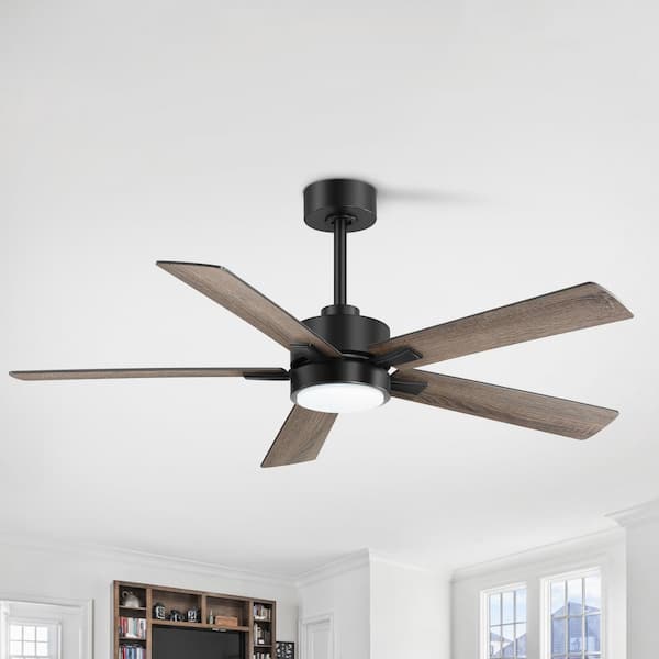 Walter 52 in. Indoor Black Ceiling Fan with Adjustable White LED Light, 5-Reversible Blades and Remote Control Included