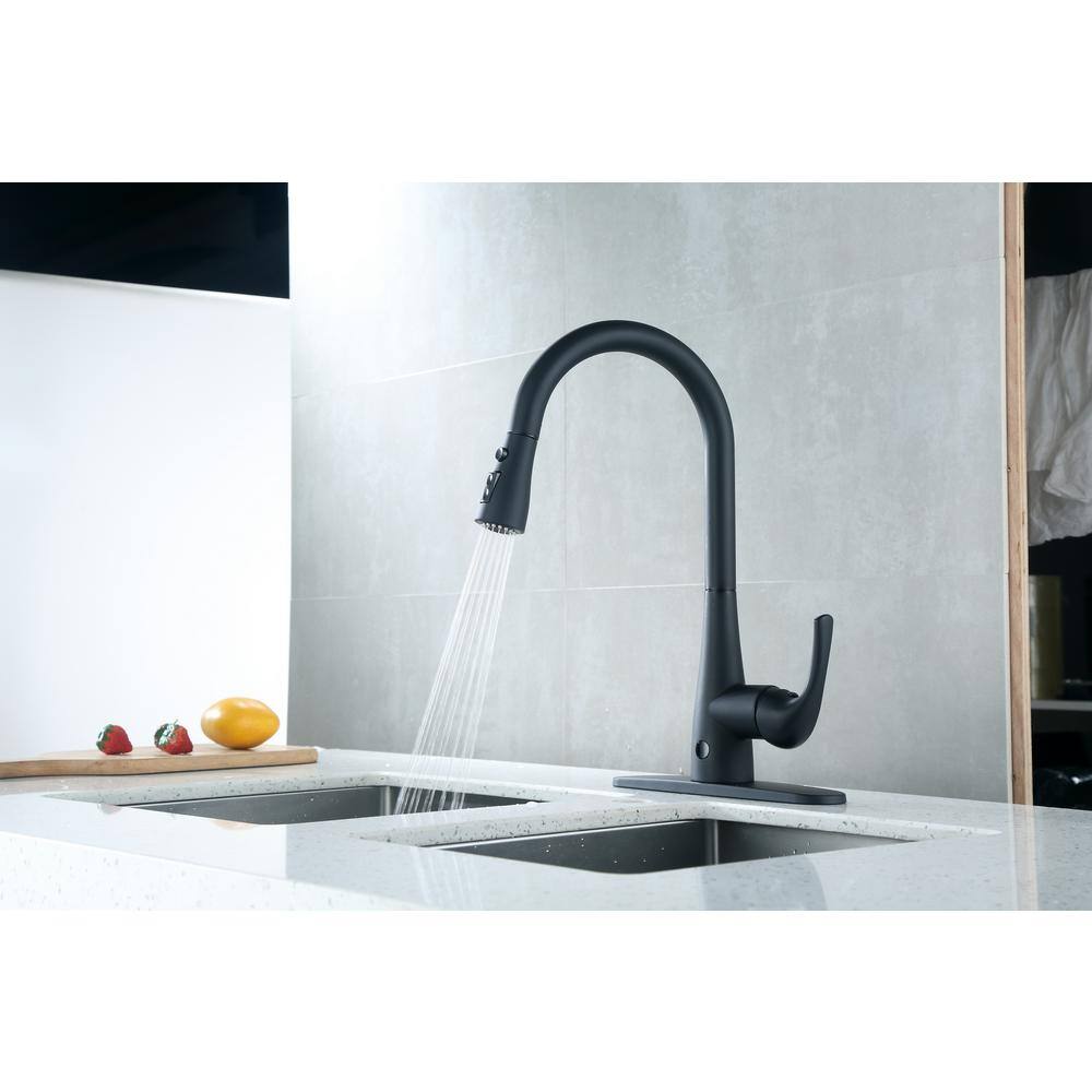 Leeds Matte Black Stainless Steel Pull-Down Kitchen Faucet