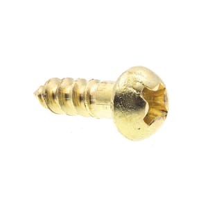 #6 x 1/2 in. Solid Brass Phillips Drive Round Head Wood Screws 25-Pack)