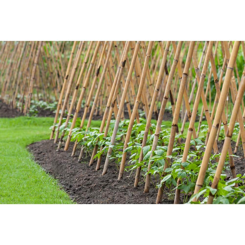 Natural Bamboo Garden Stakes for Plant Support, 48" Length