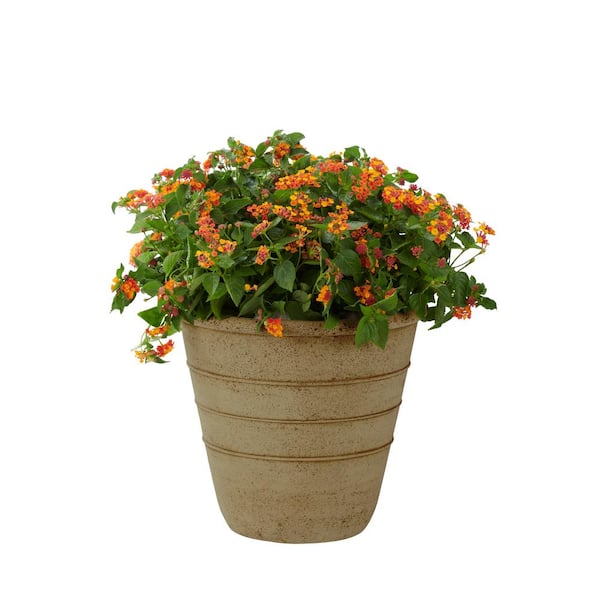 https://images.thdstatic.com/productImages/2a5f074a-b044-433c-87b5-bb9fa5b7cc28/svn/brown-washed-sand-plant-pots-pf8283bws-31_600.jpg