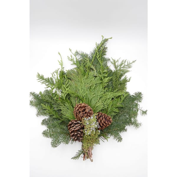 BELL NURSERY 2 ft. Live Mixed Evergreen Holiday Swag