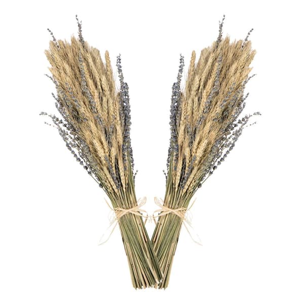 Bindle & Brass Lavender Dried Natural Wheat Bouquet (2-Pack)
