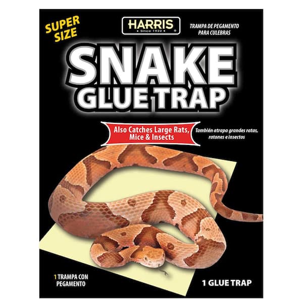 Harris Snake Super Size Glue Trap