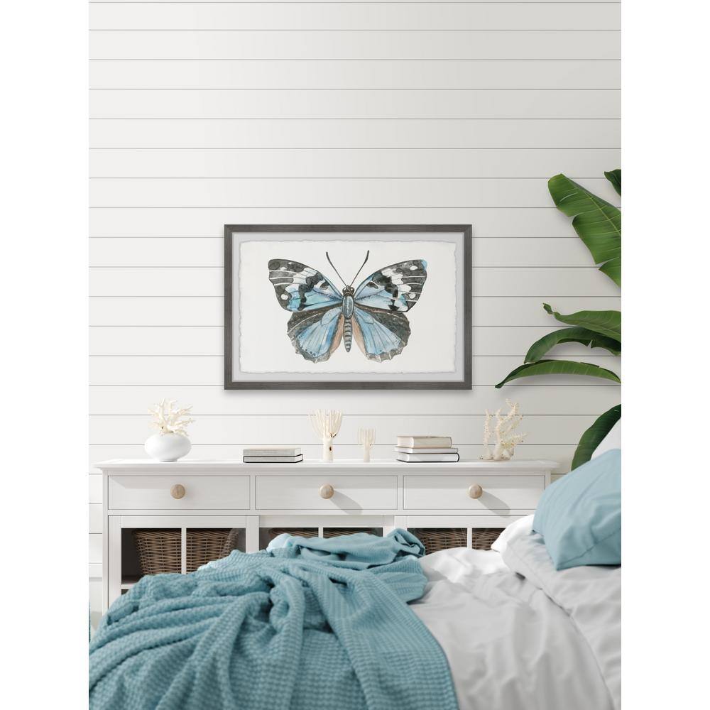 Blue and Black Butterfly Watercolor Print with Gray Frame
