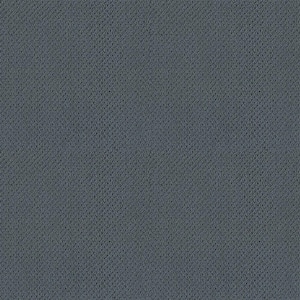 Lightbourne - Blue Sky - 39.3 oz. Nylon Loop Installed Carpet
