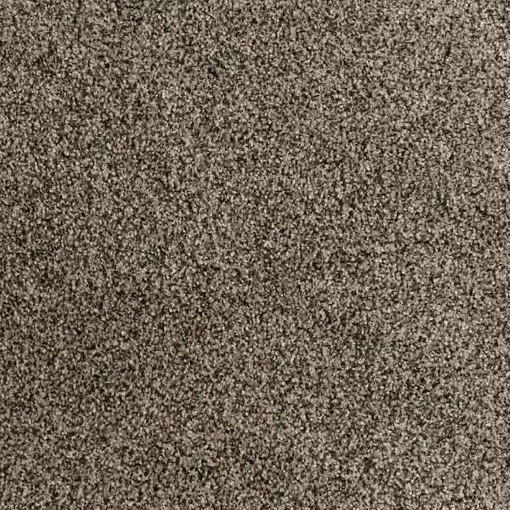 8 in. x 8 in. Texture Carpet Sample-Heartfelt Fashion-Color Stonework price history on PriceWatchPro