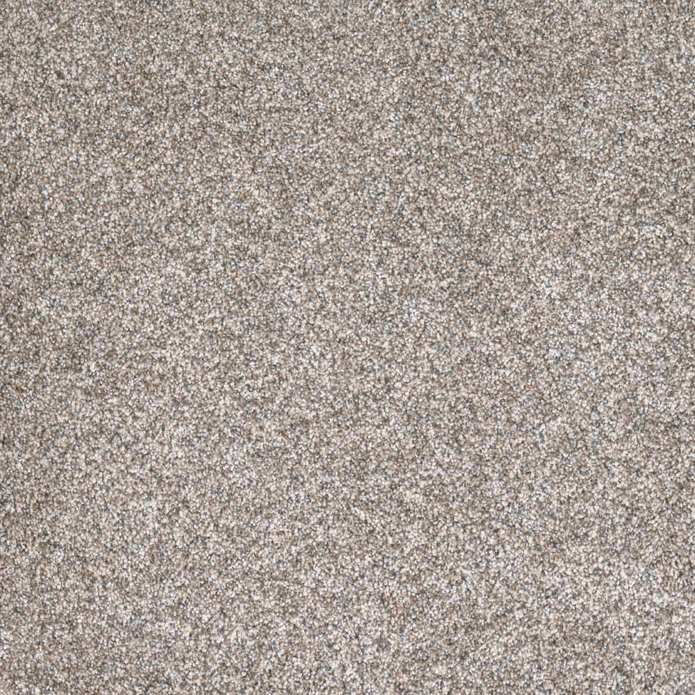 8 in. x 8 in. Texture Carpet Sample - Hazelton II - Color Hobby price history on PriceWatchPro