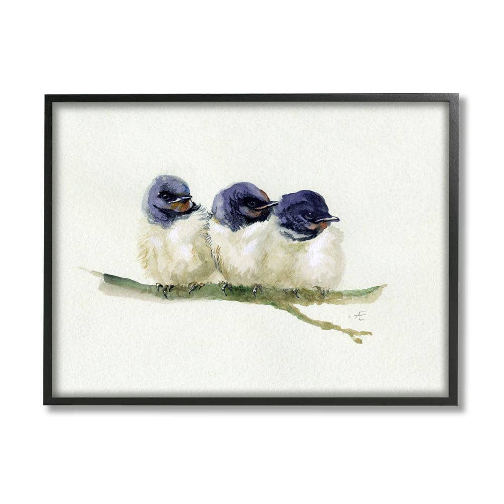 Trio of Baby Swallows on Branch Canvas Print