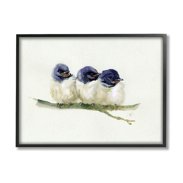 Stupell Industries "Trio of Baby Swallows Birds Perched on Branch" by Verbrugge Watercolor Framed Animal Wall Art Print 11 in. x 14 in.