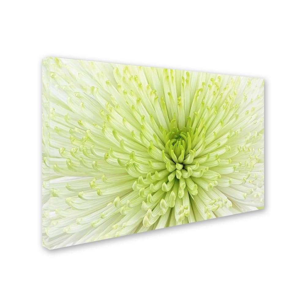 Large White and Green Floral Canvas Art