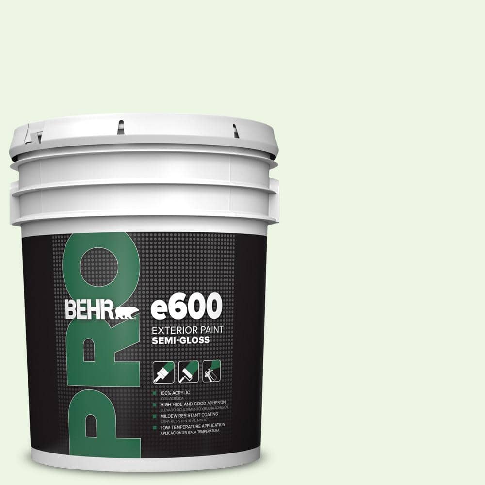 5 gal. #430A-1 Mint Hint Semi-Gloss Exterior Paint price history on PriceWatchPro
