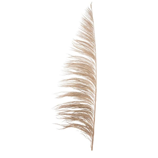 Vickerman 60-72 in. Tan Preserved Uva Palm Spray, (Pack of 10)