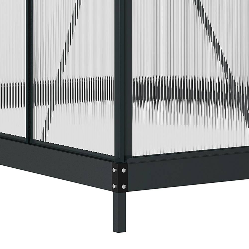 Large Black Aluminum Frame Walk-In Greenhouse