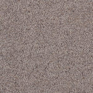 Playful Moments II Whimsy Beige 49 oz. Triexta PET Texture Installed Carpet