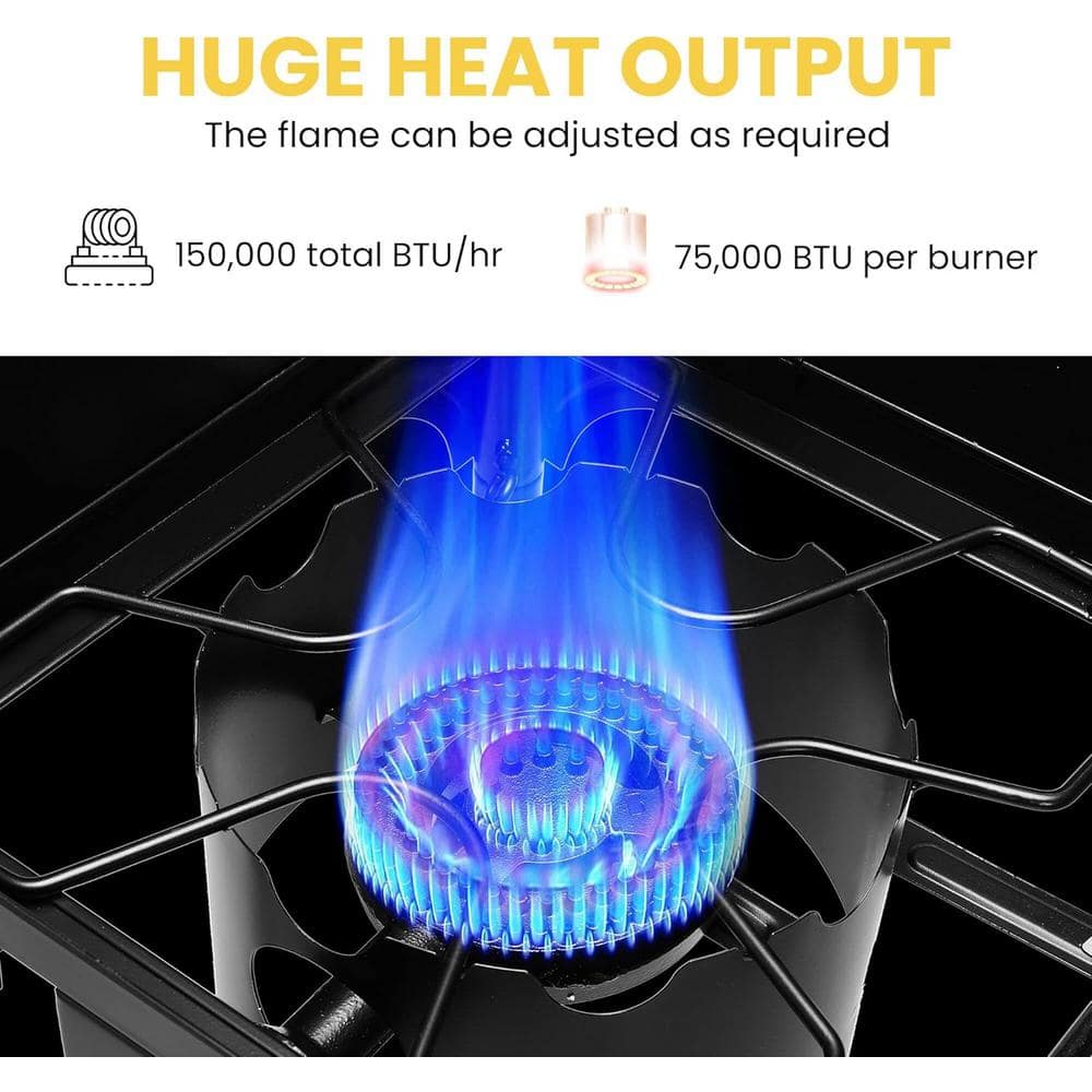 Heavy Duty Black Cast Iron 2-Burner Outdoor Gas Stove
