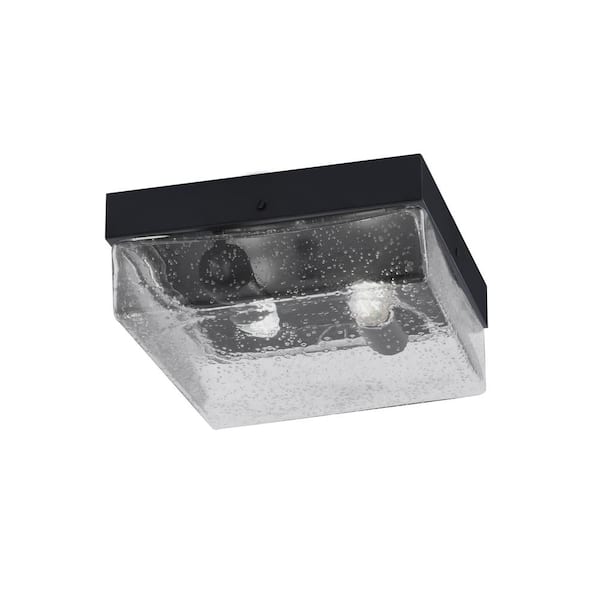 Unbranded Ashland 10 in. 2 Light Matte Black Flush Mount with Clear Bubble Glass Shade No Bulbs Included