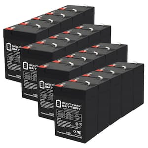 https://images.thdstatic.com/productImages/2a82b3f1-ce86-432c-9f58-9170b124b582/svn/mighty-max-battery-12v-batteries-max3972786-64_300.jpg