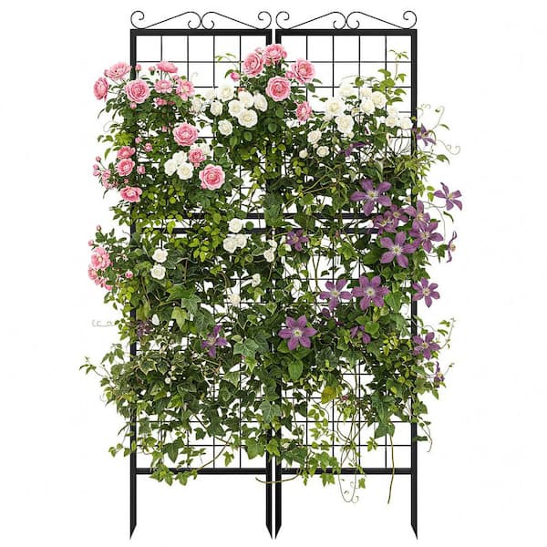 2-Pack Metal Garden Trellis 40 in. W x 71 in. H Thickened Square Tube Metal Garden Decorative Trellis for Climbing Plant