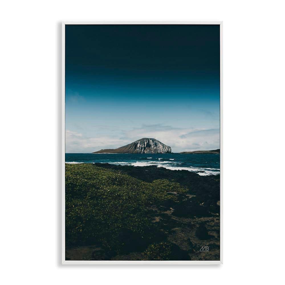 Hawaiian Rocky Shore by Max Blakesberg Studios White Framed Nature Giclee Art Print 30 in. x 20 in. price history on PriceWatchPro
