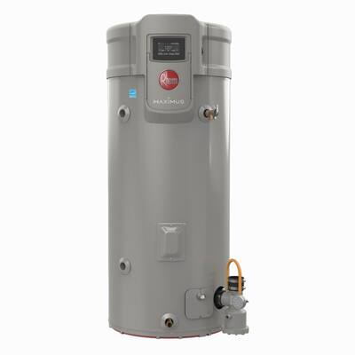 50 gal - Propane - Gas Tank Water Heaters - Tank Water Heaters - The Home  Depot