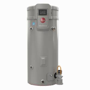 Rheem Maximus Super High Efficiency 50 gal. Tall 12-Year 100,000 BTU Liquid  Propane Tank Water Heater XP50T12UHC100U0 - The Home Depot