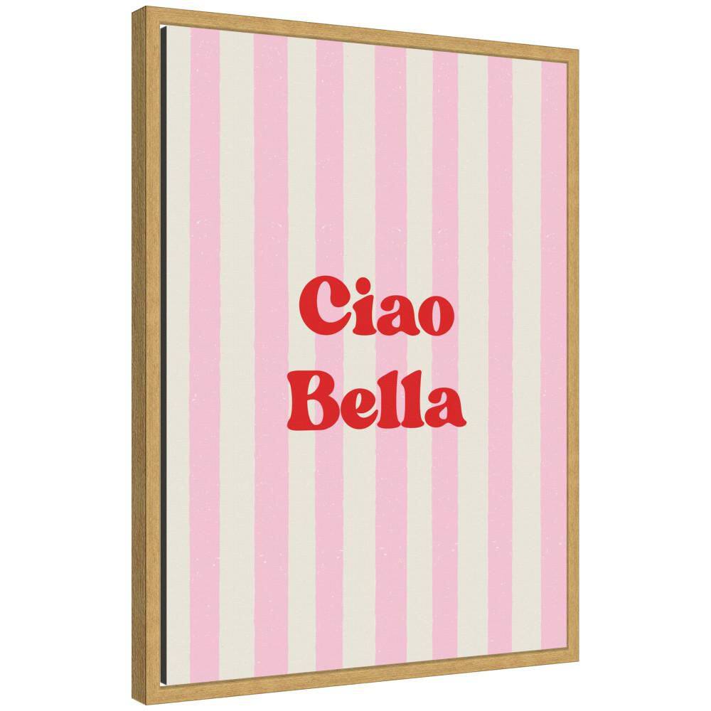 "Sylvie ""Ciao Bella Pink Striped Bold Typography"" by Laura Moss Words Framed Canvas Art Print 24 in. x 18 in." price history on PriceWatchPro
