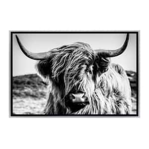 Black and White Highland Cow Framed Canvas Wall Art - 18 in. x 12 in. Size, by Kelly Merkur 1-pc Champagne Frame