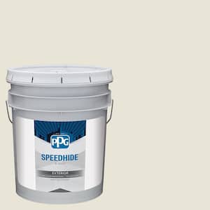 5 gal. PPG1024-1 Off White Flat Exterior Paint