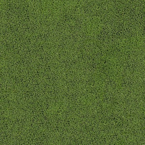 Emerald Green 15 ft. Wide x 45 mm Cut to Length Green Artificial Grass Carpet