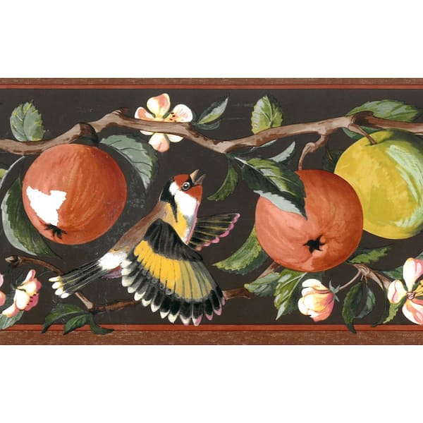 Dundee Deco Falkirk Brin Apples On Vine, Birds Brown, Pink, Green Wallpaper Border