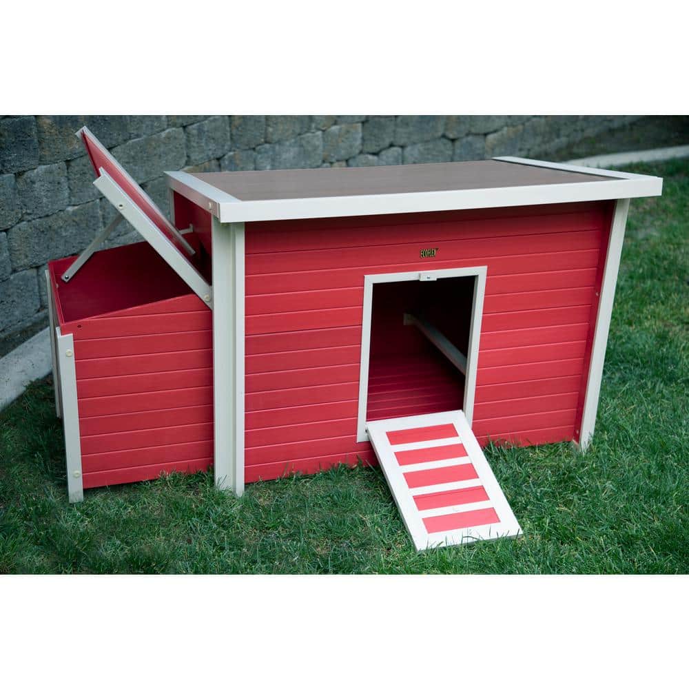 Red Eco-Friendly Composite Chicken Barn with Nesting Box