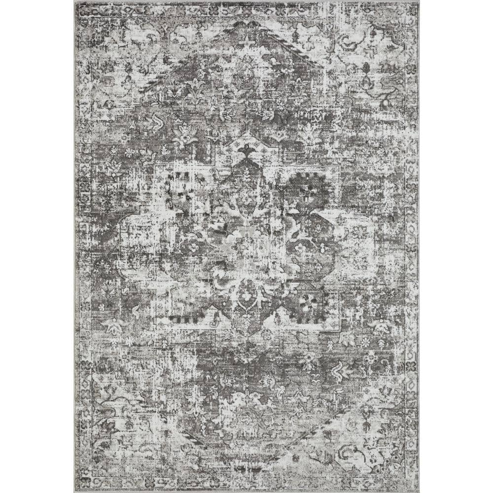 Loomaknoti Rhane Alemern 4  x 6  Gray Oriental Indoor Area Rug