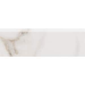 ProSelect Florida Tile USA 6-1/8" X 2" Gloss FROSTY White Bullnose Wall 